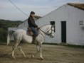 /album/galeria-de-fotos-zippo/cavalos1-086-jpg/